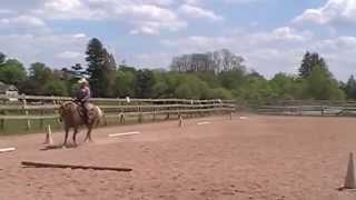 Laura Marquez  Open  USEF Intro Test 3 ~ 73.958%