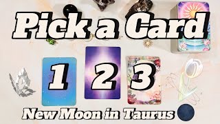 WHAT IS HAPPENING RIGHT NOW? Pick a Card ✨ Oracle Energy reading 🔮 NEW MOON in Taurus 🌑