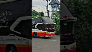 Download Lagu Story'WA bus HARAPAN JAYA mboiss 30 detik MP3