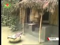 ترنيمة لمسة حنان يا امي 