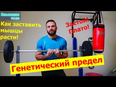 Генетический предел роста мышц! Что с ним делать?