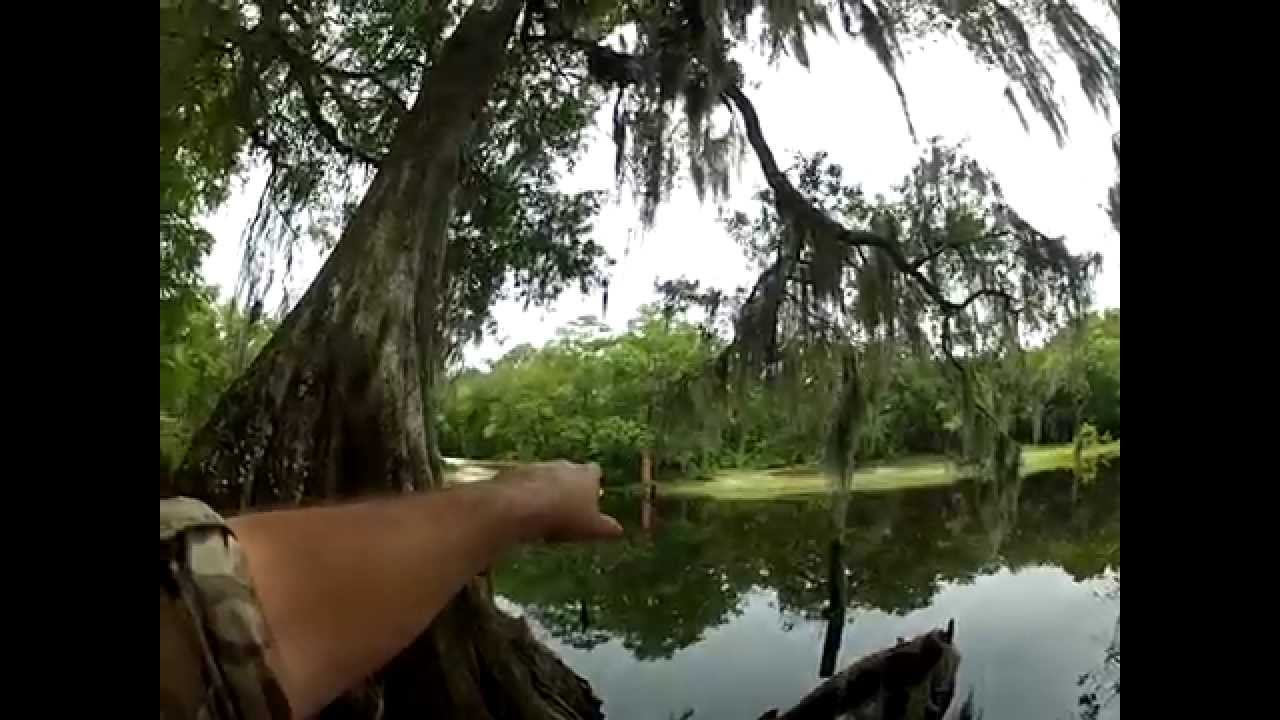 Old Iron Bridge in Withlacoochee State Forest YouTube