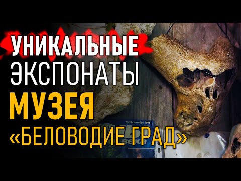 Уникальные экспонаты музея "Беловодие Град"