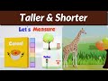 Understanding Taller and Shorter