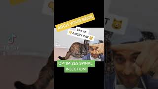 Celebrity WHAT happens to YOU during a C-section? Wealth