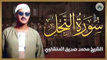 سورة النحل ✨ الشيخ محمد صديق المنشاوي 🎧 كأنه يبحر في بحر من الخشوع والسكينة ✨