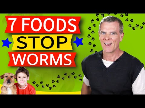 7 Household Foods That Get Rid Of Dog Worms