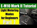 Olympus OM-D E-M10 Mark II: Metering Modes for Beginners Part 7