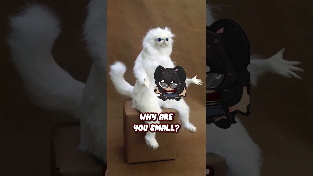 You can't ask that!!!😤  #shorts #vtuber #roebunnyvt