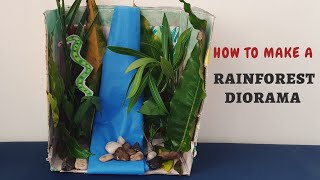 How to make a Rainforest Diorama using real leaves | very easy How to make a Rainforest Diorama using real leaves | very easy