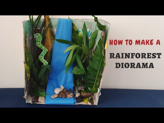 How to make a Rainforest Diorama using real leaves