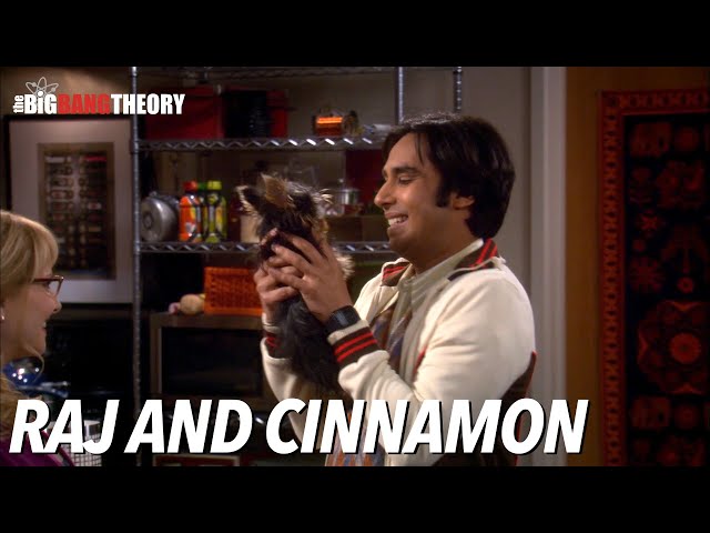 Raj and Cinnamon | The Big Bang Theory class=