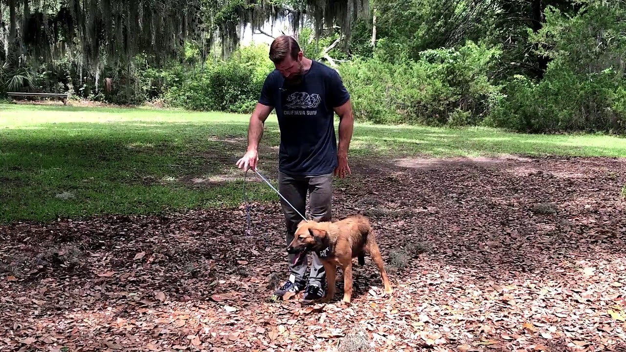 Slip Lead Training Part 2 YouTube