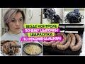 Везде КОНТРОЛЬ / Почему ЦЫПОЧКИ / Никогда НЕ ПОВЕРЮ / Шарлотка по вашим РЕКОМЕНДАЦИЯМ / Vika Siberia