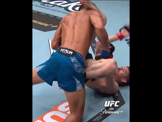 Bautista drops Sandhagen! #ufc329