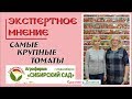 Томаты от "Сибирского сада". Самые крупноплодные сорта