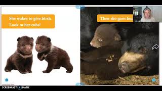 Animals In Winter Read Aloud