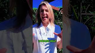 Arizona Microclimates Are Ruining Your Garden #gardening #plants #tips
