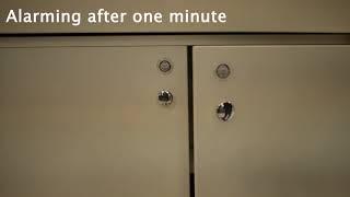 iButton Cabinet Lock