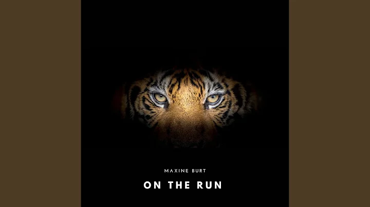 Life on the Run