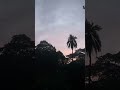 সূরা ইয়াসিন #shortvideo #islamic #quran