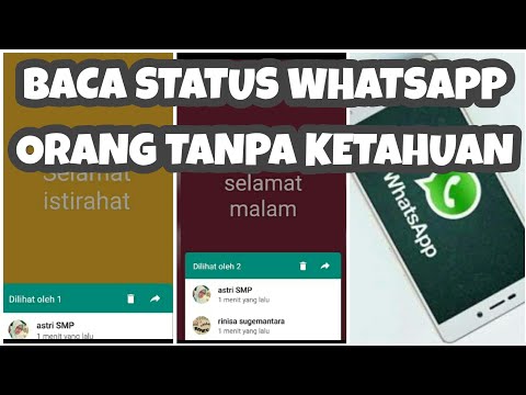 CARA BACA STATUS WHATSAPP TANPA KETAHUAN ORANGNYA