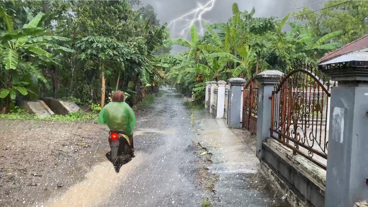 Walking in a beautiful red soil village during super heavy rain |Rain ...