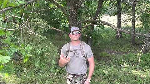 Mock scrapes and Licking Branches.  Where and How and Cheap