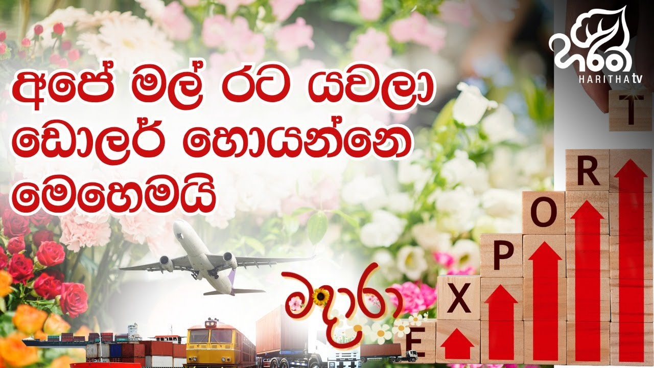 ලෝකෙට යන අපේ මල්  🌸🌺🌼🌹🌷💐 | Omega Green (Pvt) Ltd | මදාරා | Madhara