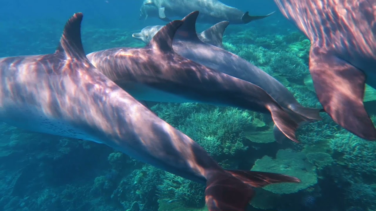 Diving By Blue Water Dive Resort.