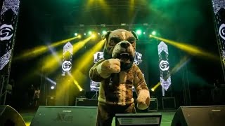 Sapo - Cartel De Santa (Video Oficial) @elcarteldesantatv 
