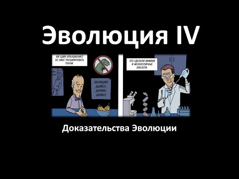 23. Эволюция часть IV (9 или 10-11 класс) - биология, подготовка к ЕГЭ и ОГЭ 2022