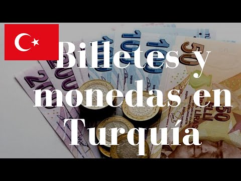 Video: Que Moneda Llevar A Turquía