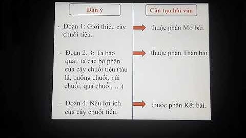 Tuần 24 - Môn tập làm văn lớp 4 - Bài luyện tập miêu tả đoạn văn miêu tả cây cối