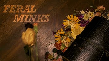Saving Dead Flowers Lyric Video - Feral Minks