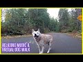 Walking Bradley Lake & Closed College Campus / Relaxing Music & Virtual Dog Walk