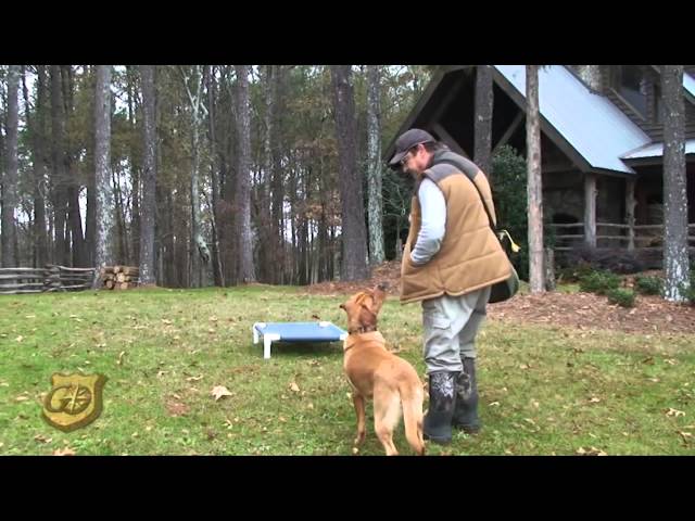 Hunting Dog Training Place Board (Color: Dark Blue)
