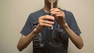 The Lord of the Rings; May It Be Tin Whistle Cover chords