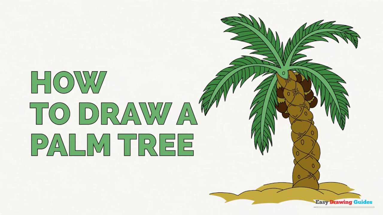 How to draw a palm tree step by step for beginners