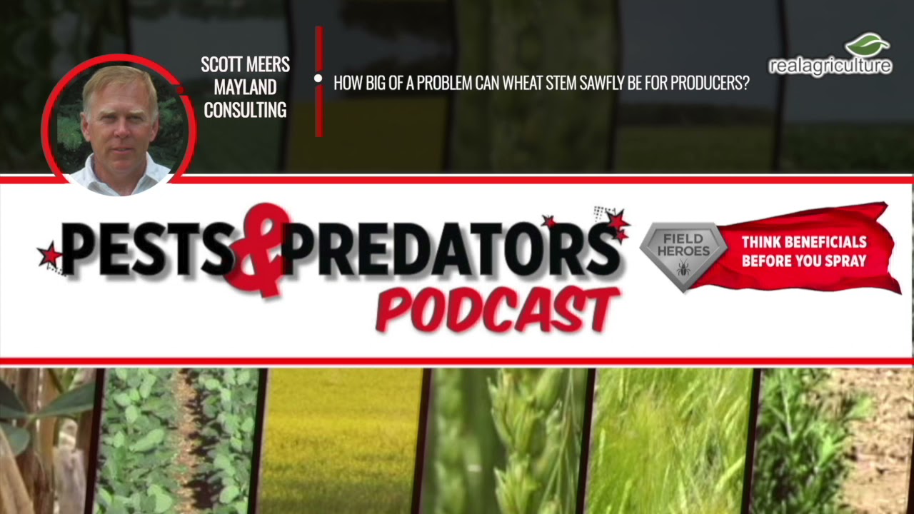 Pests & Predators Podcast: Episode 5 - Scott Meers