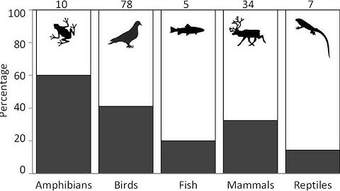 GCSE Statistics - Petersen capture-recapture formula