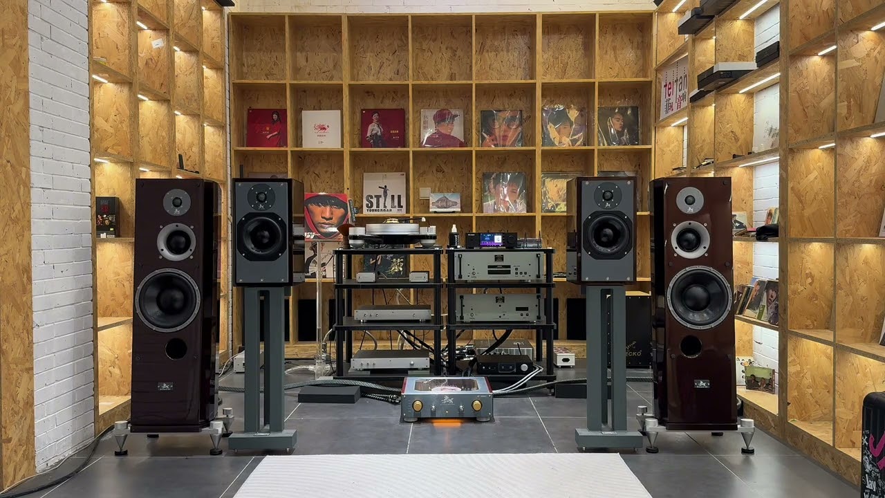 用HiFi音响听   林忆莲《为你我受冷风吹》 香港live版，我好喜欢这个版本的编曲和演奏，加上演唱感情更加真切，这鼓打得听着好过瘾……