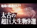 かつて地球に実在した!古代の超巨大生物9選!