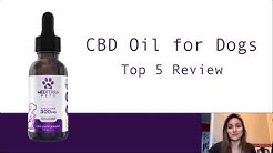 Top 5 CBD Oil for Dogs - SAFE CBD Oils For Your Pet!