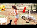 Funnys compilation  pranks  amazing stunts  by happy channel 23
