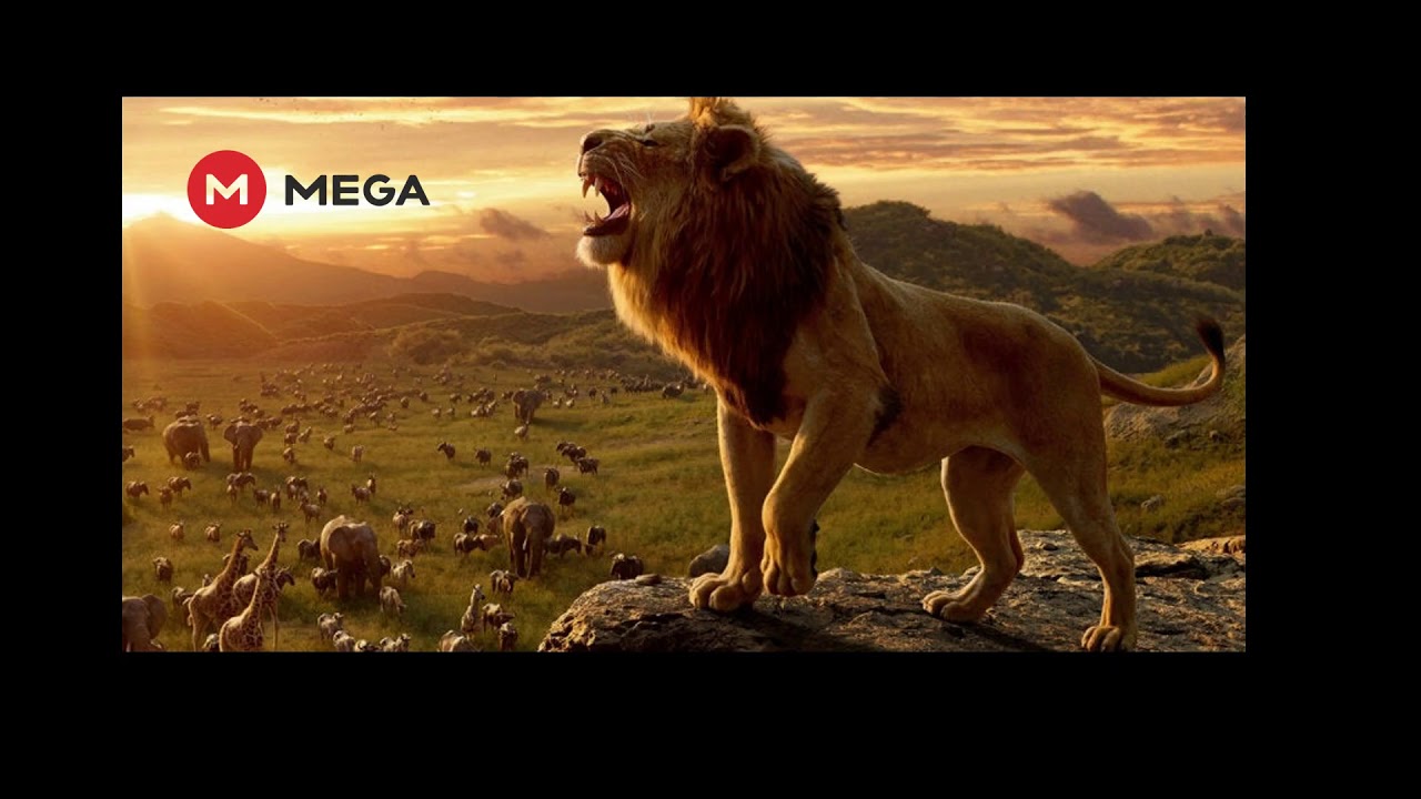 Descargar El Rey Leon 2019 - Mega y Mediafire - YouTube
