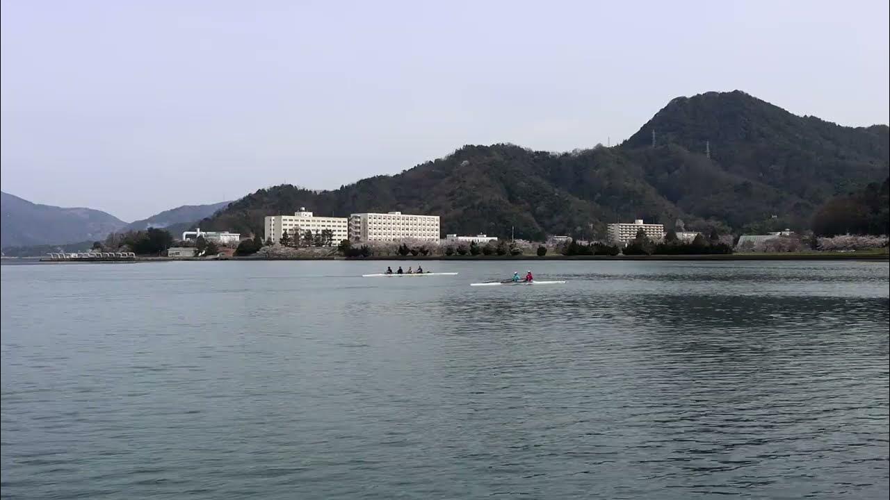 2024/4/6土1000 京都府舞鶴市・東舞鶴与保呂川河口のローイングボート YouTube