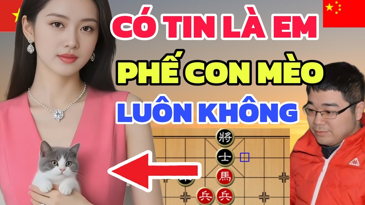 Cờ tướng - EM GÁI VIỆT đòi phế con Mèo khiến cả nước tìm xem cho được