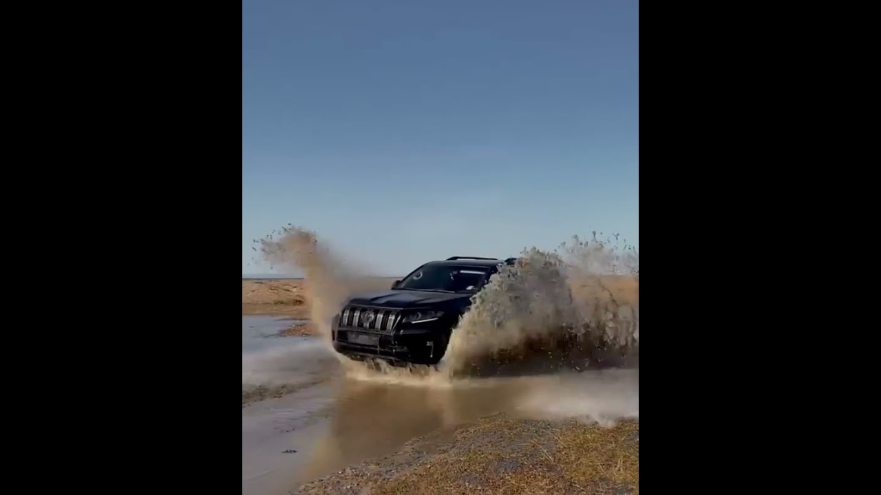 LandCruiser Prado & Lexus Lx570 by Pigglin