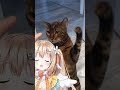 猫パンチ…つよ… #vtuber #新人vtuber #猫パンチ #綿宮あひる #varium